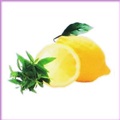 �����v�x���W�F�@�A���}�I�C���y�o�[�x�i�z������100ml